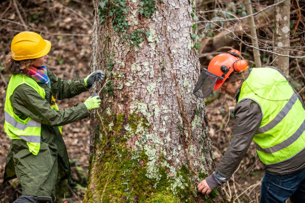 Best Storm Damage Tree Cleanup  in Byron Center, MI